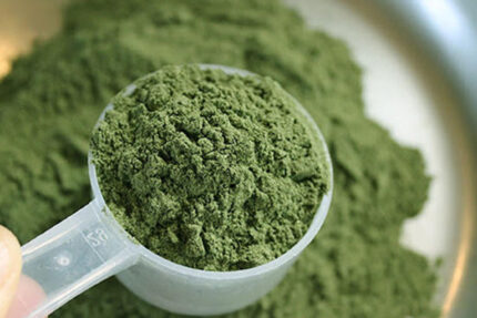 Buy Mescaline Powder Online